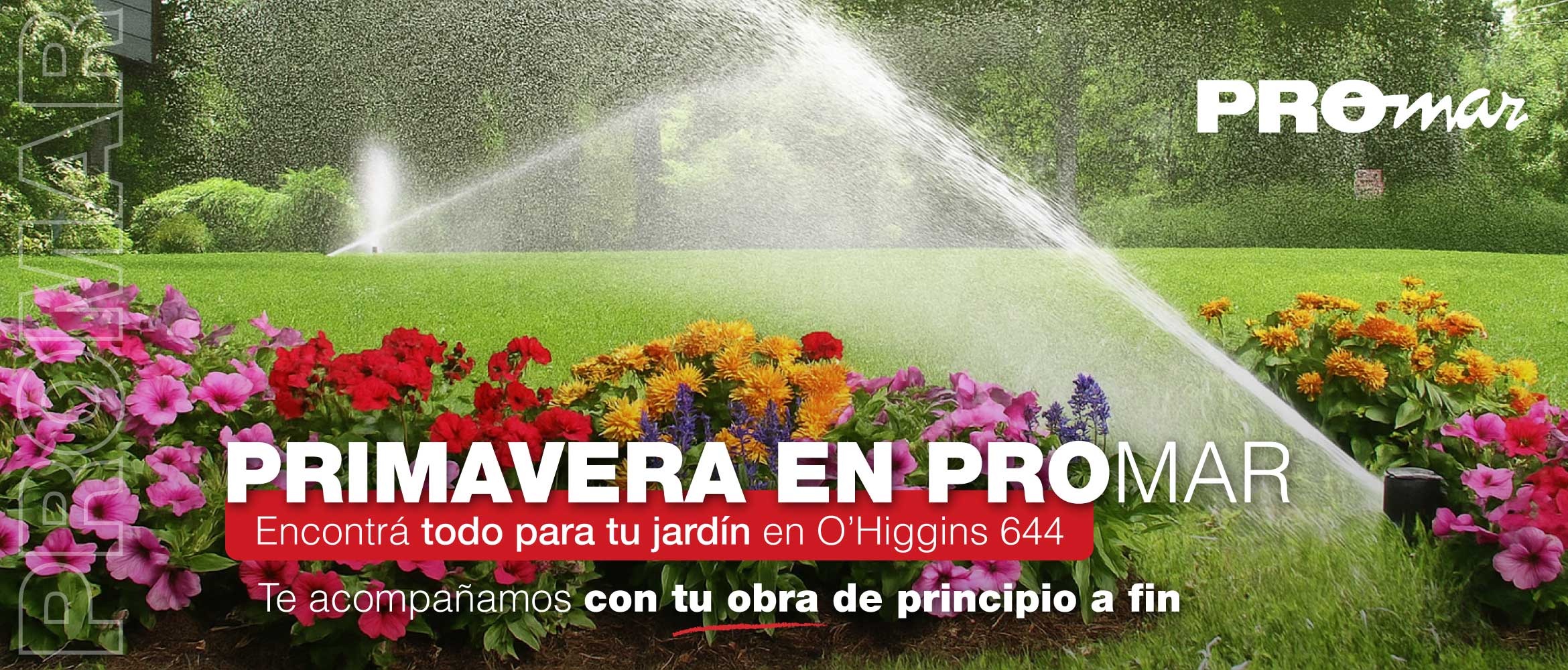 Inicio